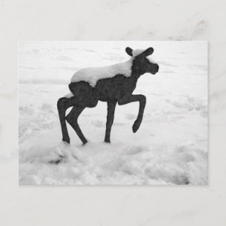 Postal Moose del bebé cubierto de nieve