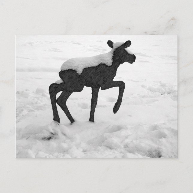 Postal Moose del bebé cubierto de nieve (Anverso)
