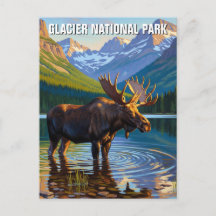 Moose en el Parque Nacional Glaciar