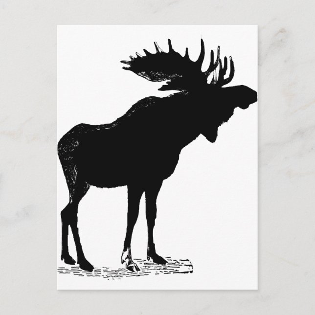 Postal Moose Silhouette (Anverso)
