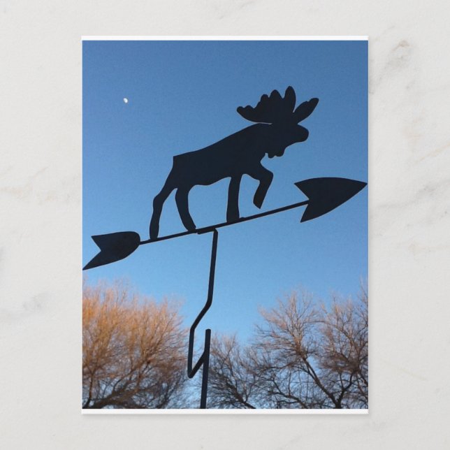 Postal Moose weathervane (Anverso)