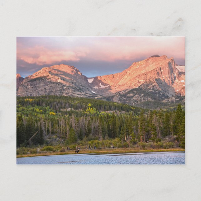 Postal Moose Y Turistas En El Lago Sprague, Colorado (Anverso)