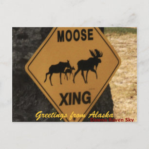 Postal Moosecrossing, saludos de Alaska