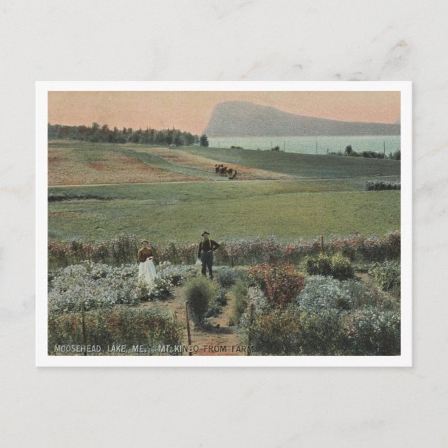 Postal Moosehead Lake ME, Mt Kineo, Granja 1910 (Anverso)