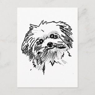 Postal Mop Dog