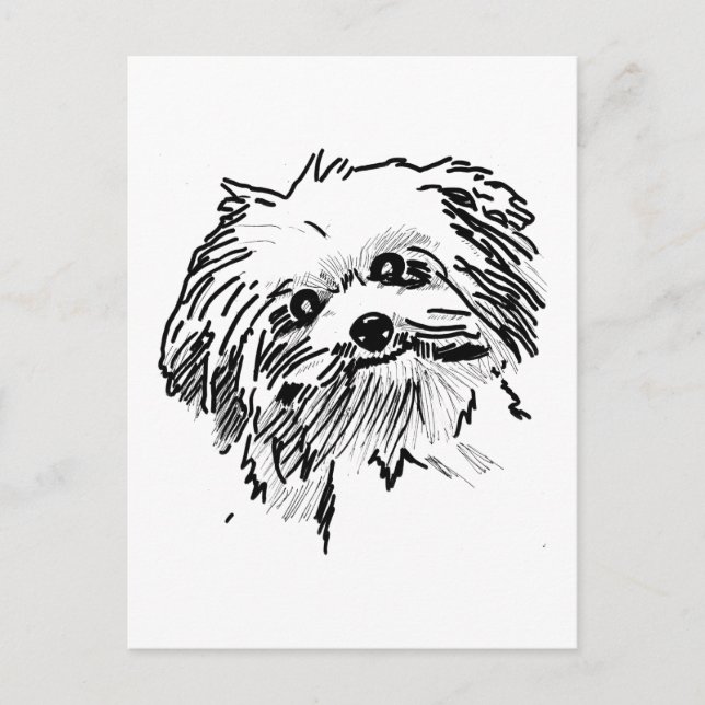 Postal Mop Dog (Anverso)