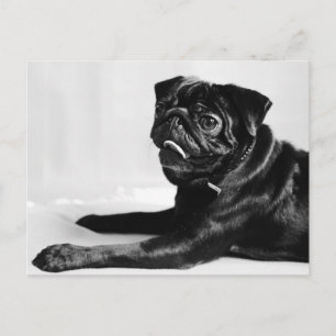 Postal Mops