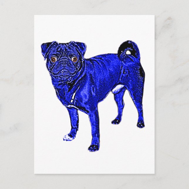 Postal Mops Jack en Blau (Anverso)