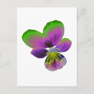 Postal morada y pansy verde