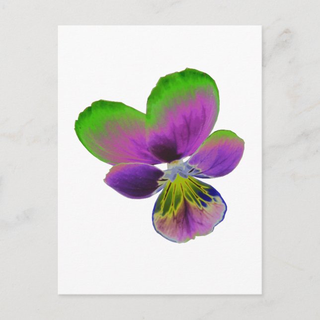 Postal morada y pansy verde (Anverso)