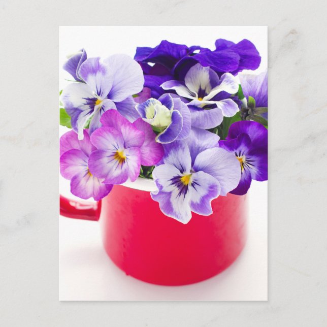 Postal morado (Anverso)