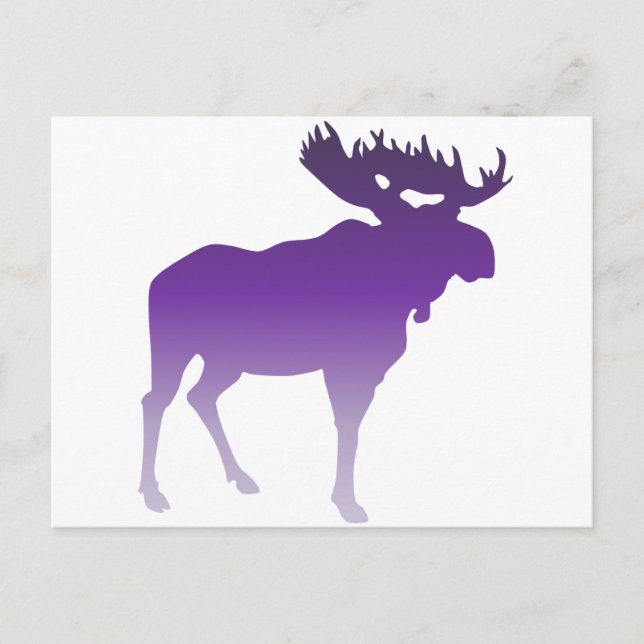 Postal Morado Moose (Anverso)