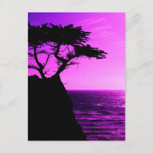 Postal Morado Sunset Beach Tree Ocean Peace Destino