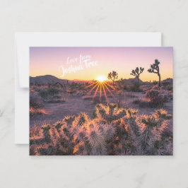 Postal Morado y Naranja Cholla Cactus Joshua Tree Sunset
