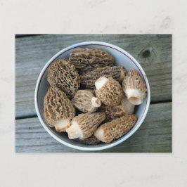 Postal Morel Mushrooms Birthday Postcard