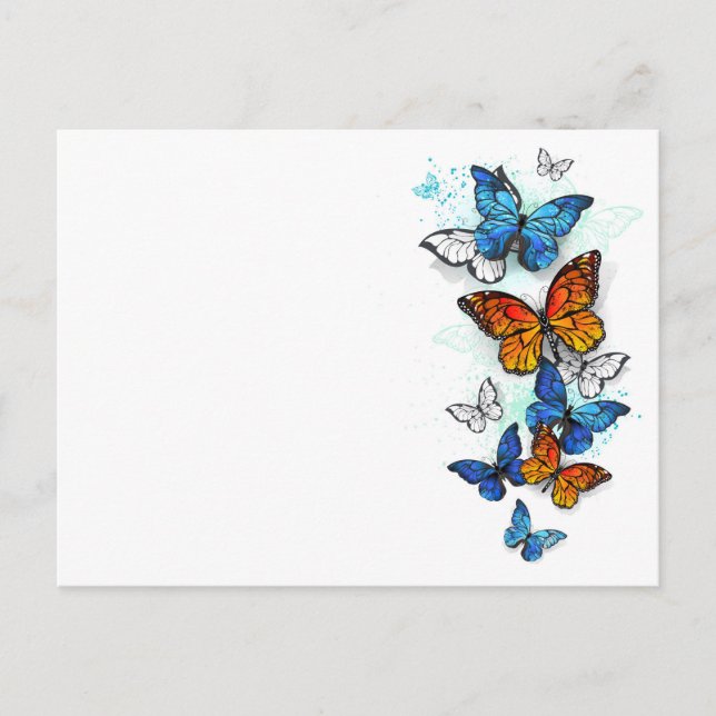 Postal Morfo y monarca de las mariposas voladoras (Anverso)