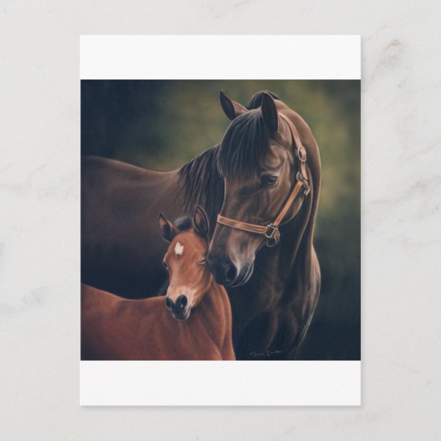 Postal Morgan Mare y Foal (Anverso)
