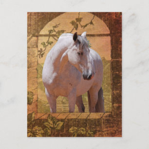 POSTAL MORISCO EN LA VENTANA