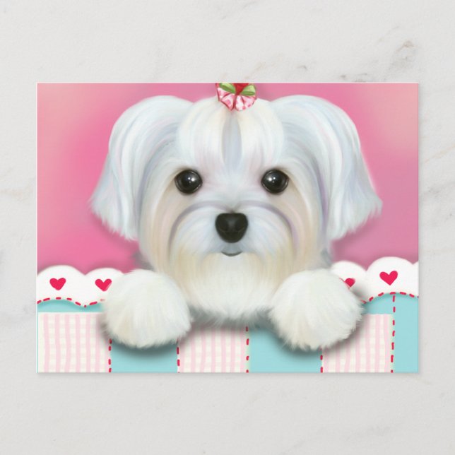 POSTAL MORKIE SHELLY (Anverso)