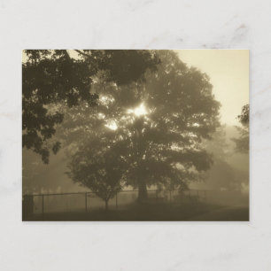 Postal Morning Mist