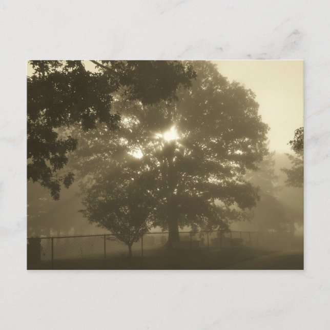 Postal Morning Mist (Anverso)