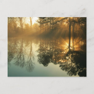 Postal Morning Mist