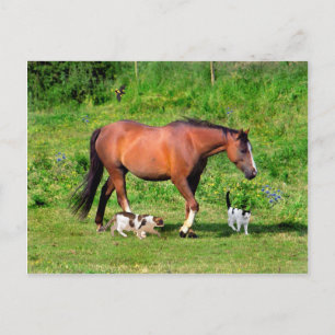 Postal "Morning Stroll"