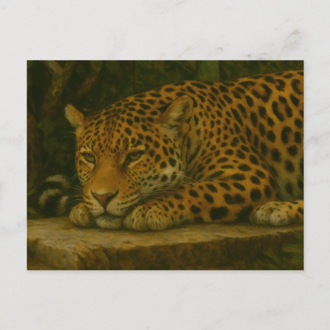 Postal Mortalidad dorada - Leopardo en reposo (Anverso)