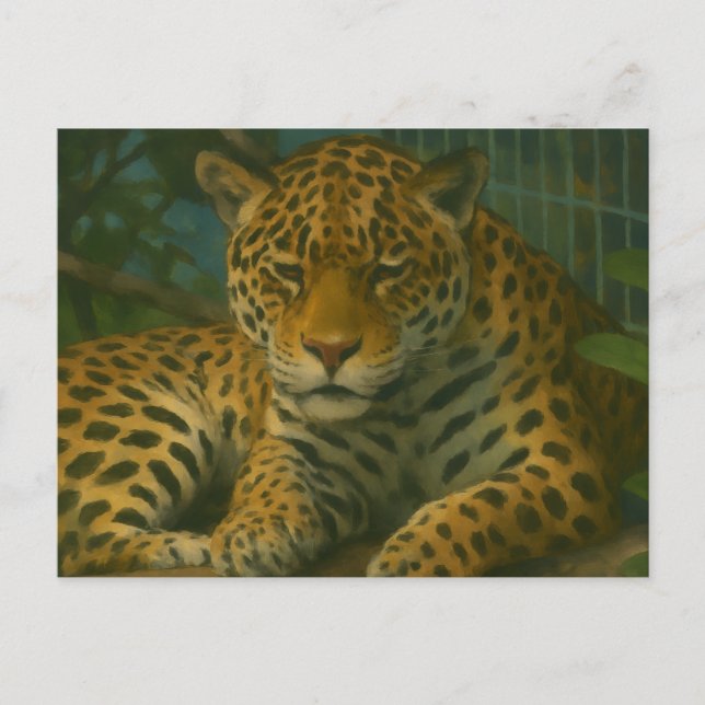 Postal Mortalidad dorada - Leopardo en reposo (Anverso)