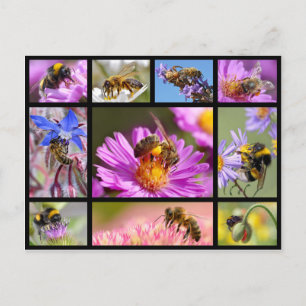 Postal Mosaico de abejas y abejorros
