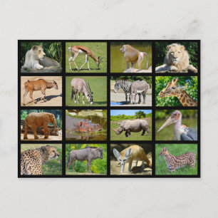 Postal Mosaico de animales africanos