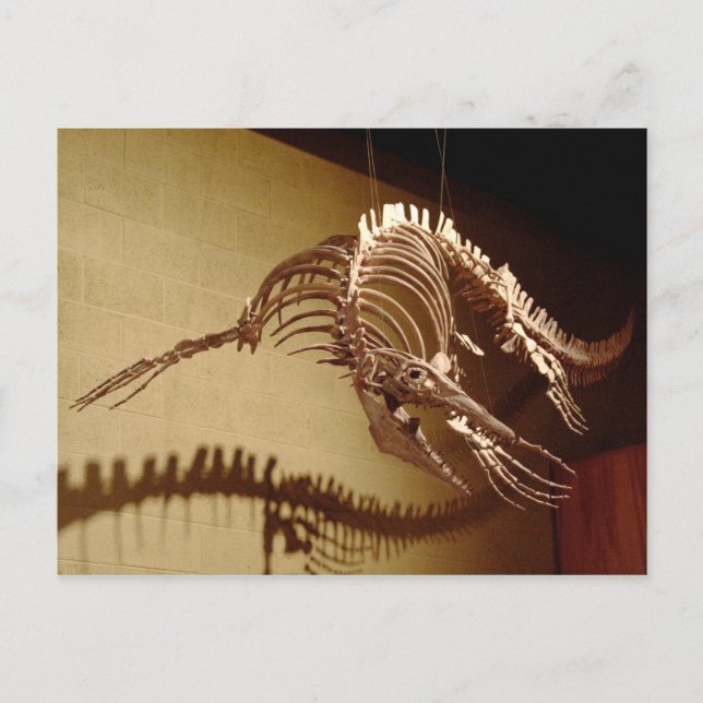 Postal Mosasaur - "Sea Lizard" (Anverso)