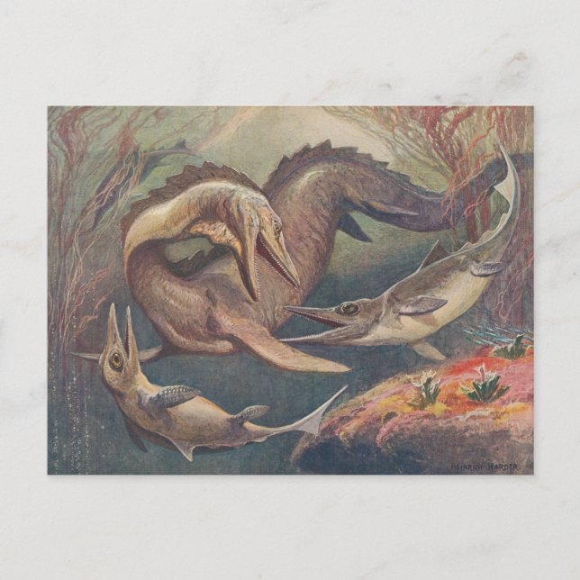 Postal Mosasauro vintage vs. Ichthyosaurs Imprimir dos to (Anverso)