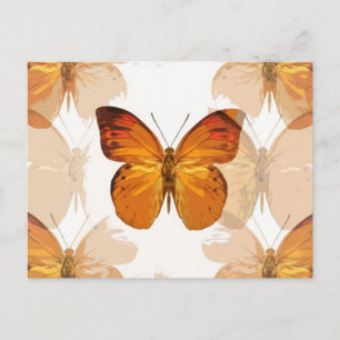 Postal Moscas de mariposa