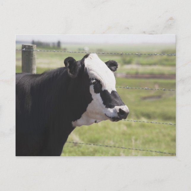 Postal Moseleigh, Alberta (Canadá) (Anverso)