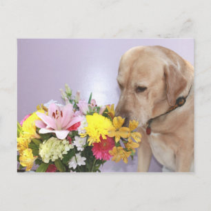 Postal Moses Huele Flores