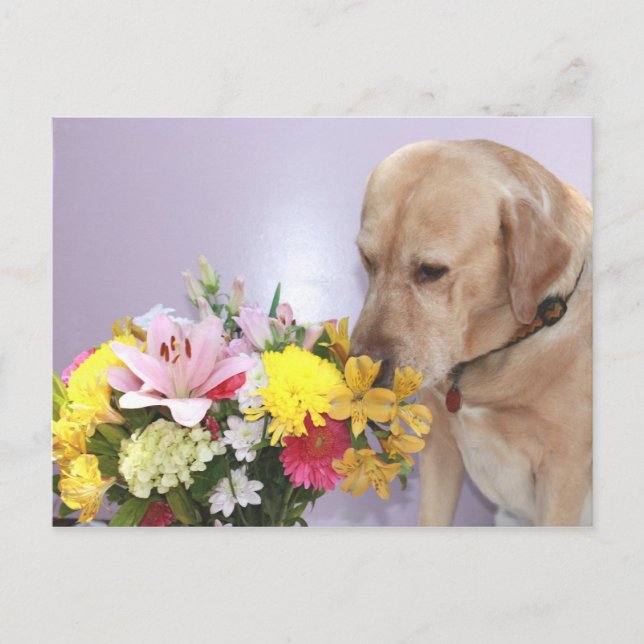 Postal Moses Huele Flores (Anverso)