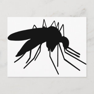 Postal Mosquito