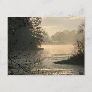 Postal Mosquito Lake State Park Postcard