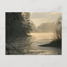 Postal Mosquito Lake State Park Postcard