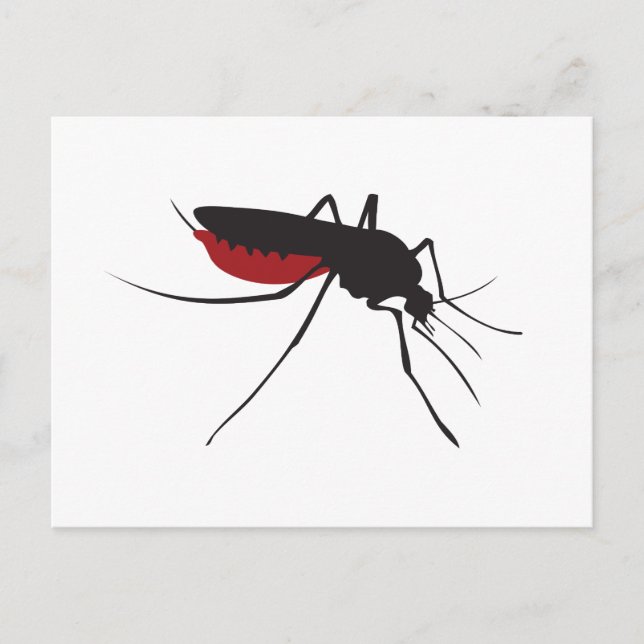 Postal Mosquito sangriento (Anverso)