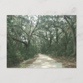 Postal Moss de España, condado de Georgetown, SC