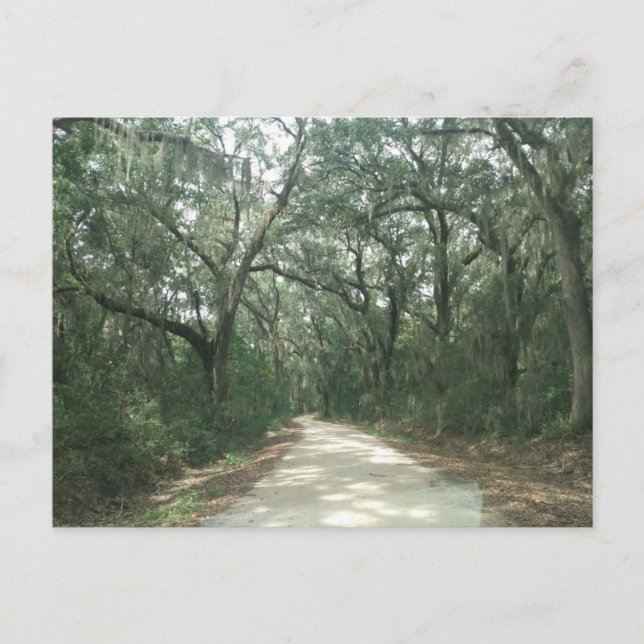 Postal Moss de España, condado de Georgetown, SC (Anverso)