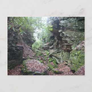 Postal Moss on Rocks Boulders en el condado de Mercer WV