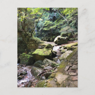 Postal Mossy Mountain Stream in a Japanese Forest Jigsaw