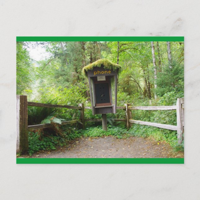Postal Mossy Phone Booth - Hoh Rain Forest (Anverso)