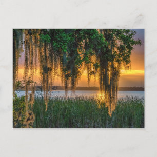 Postal Mossy Sunrise