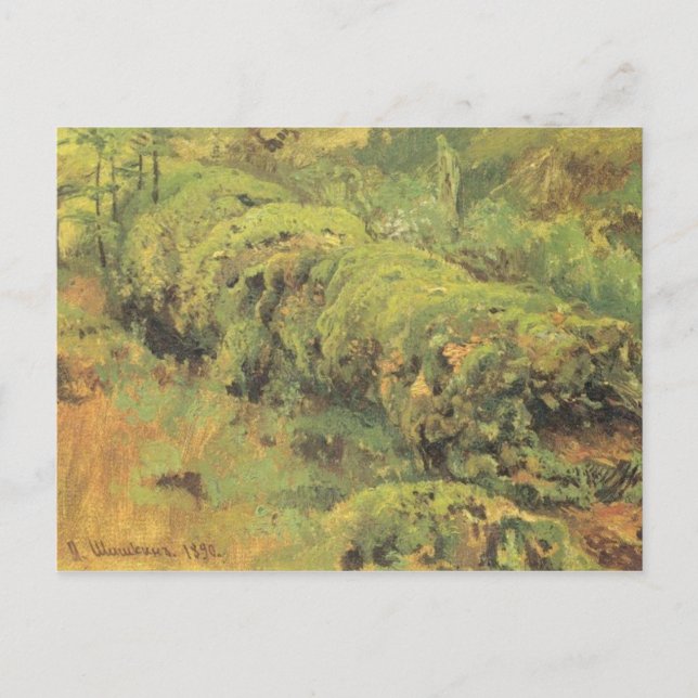 Postal Mossy Wood por Ivan Shishkin (Anverso)