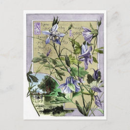 Postal Mostrar mi manera