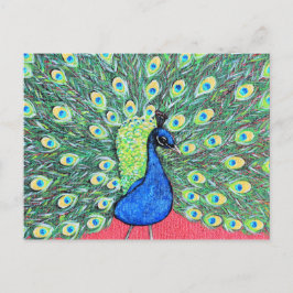 Postal Mostrar pintura acrílica de pavo real